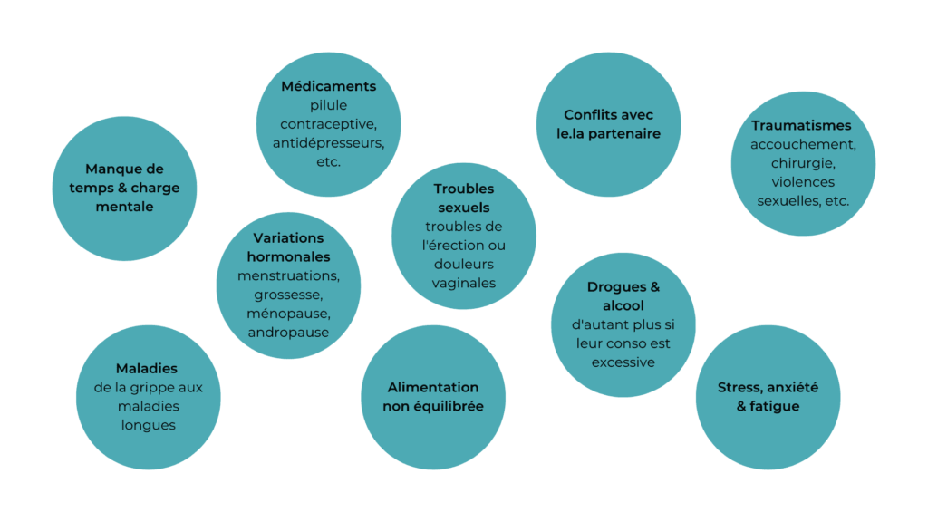 Exemples de ce qui peut influencer la libido : manque de temps, charge mentale, médicaments, variations du taux hormonal, maladies, troubles sexuels, alimentation non équilibrée, traumatismes, conflits avec le ou la partenaire, drogues, alcool, stress, anxiété ou encore fatigue