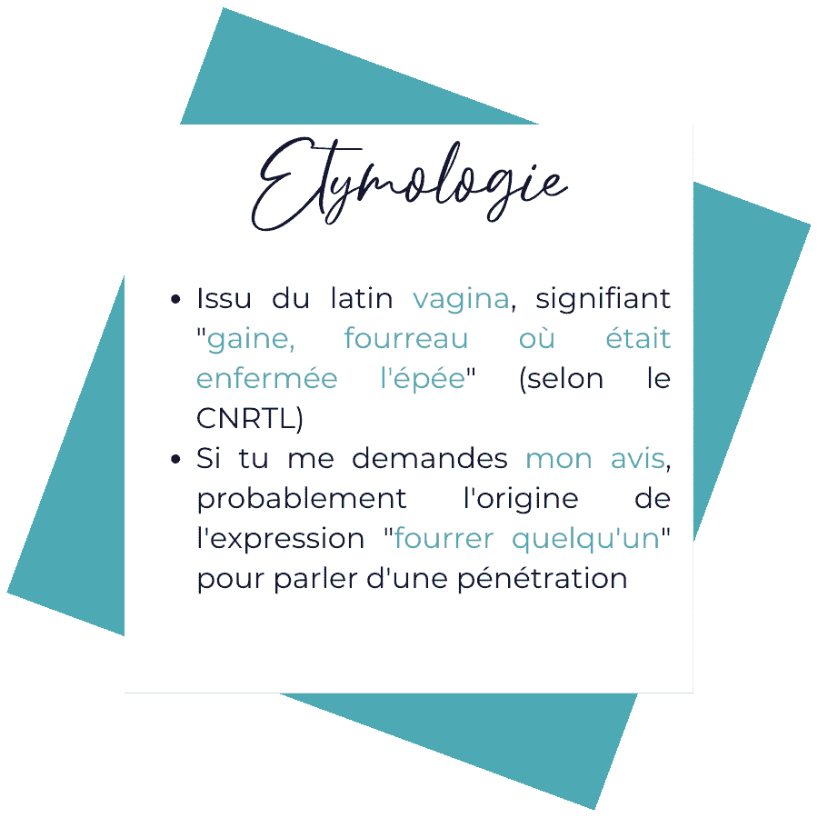 Etymologie du mot vagin. Issu du latin vagina, signifiant "gaine, fourreau, où était enfermé l'épée"