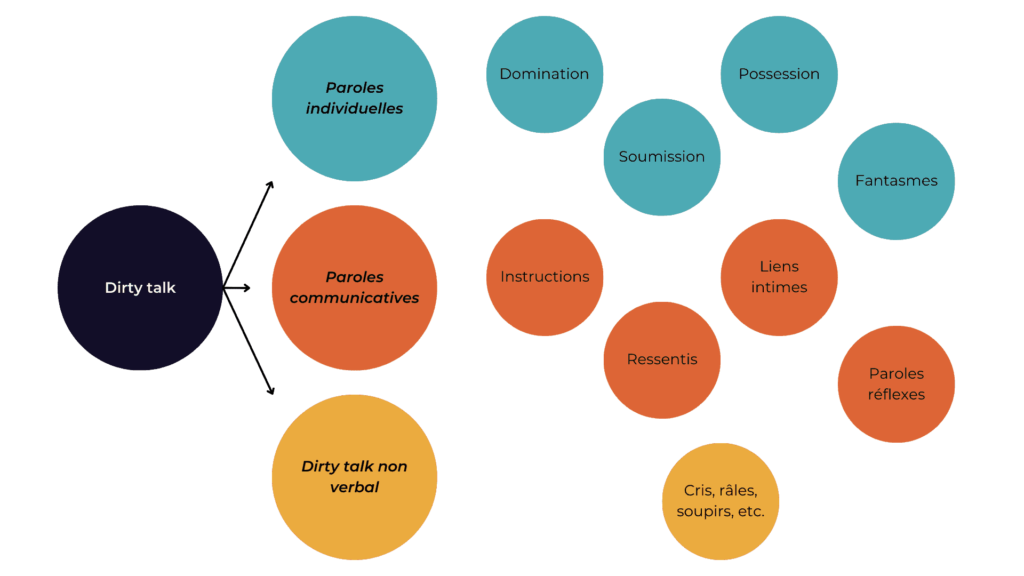 2 catégories verbales du dirty talk : paroles individuelles ou communicatives. Dans les paroles individuelles, nous retrouvons les thèmes de la domination, la soumission, la possession et les fantasmes. Dans la catégorie paroles communicatives, nous retrouvons les thèmes des instructions, des ressentis, des liens intimes et des paroles réflexes.
Une seule catégorie non verbale correspondant aux bruits que nous faisons lorsque nous faisons l'amour.